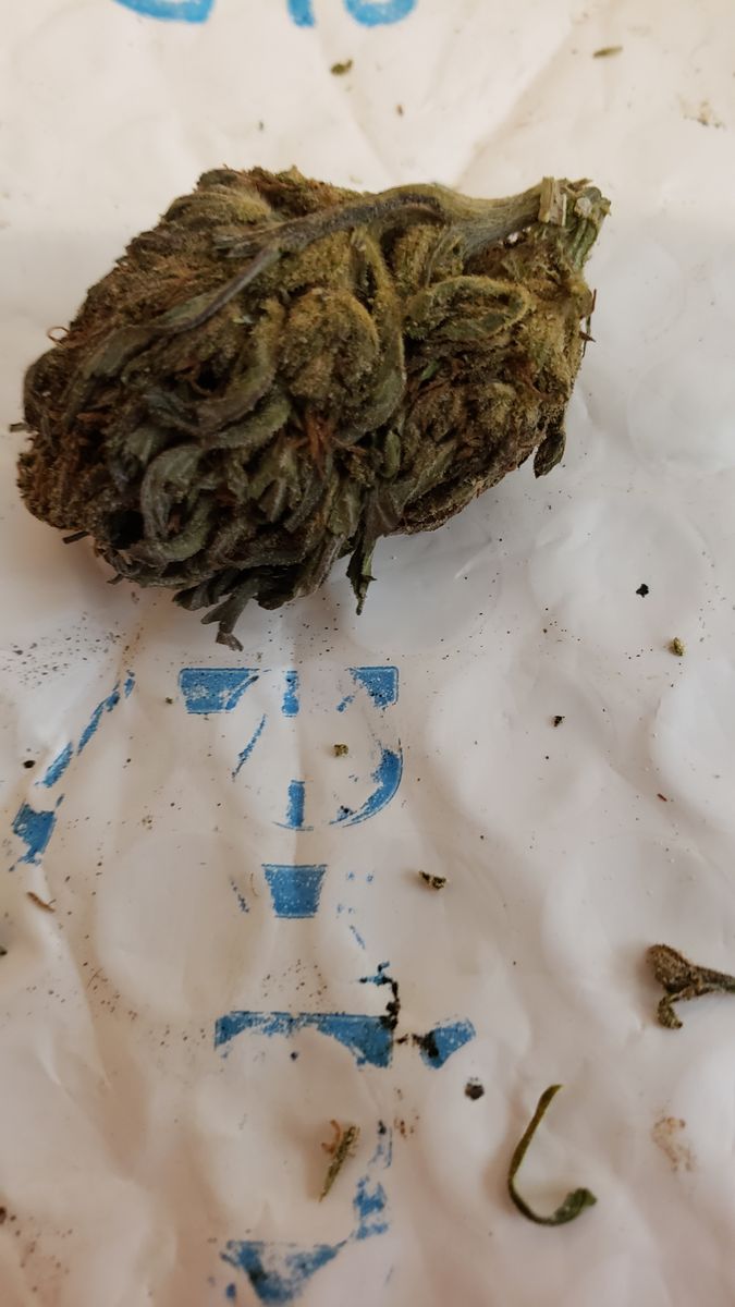 Mongo CBD Flower  